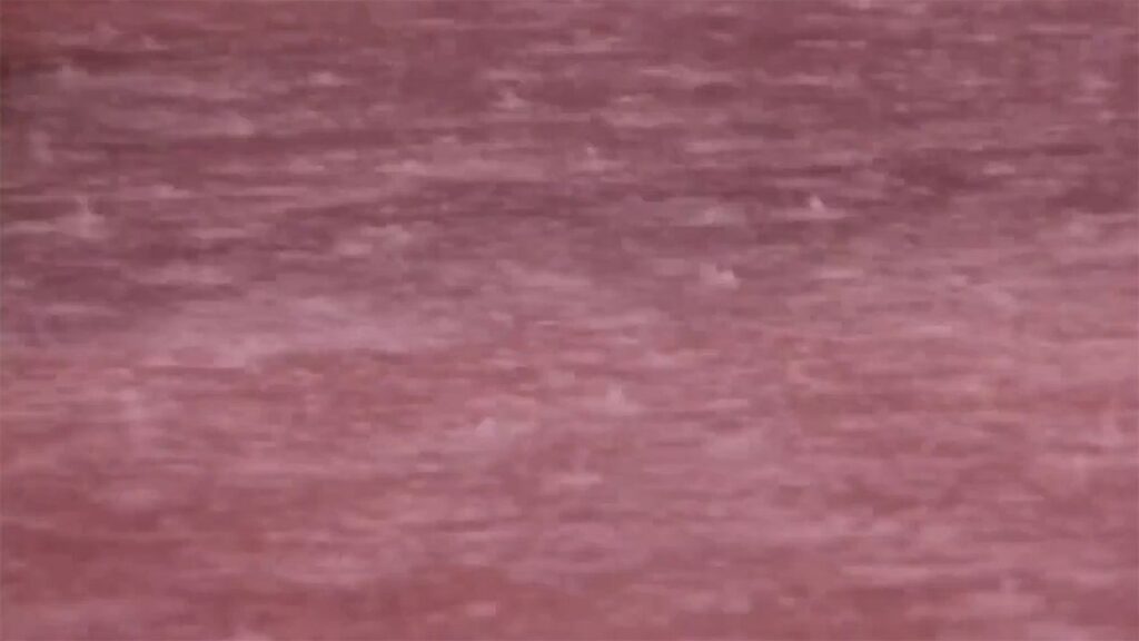 Acque di sangue e i simboli dell’Apocalisse: le piogge (parte 2) Acque di sangue e i simboli dell’Apocalisse: le piogge (parte 2)