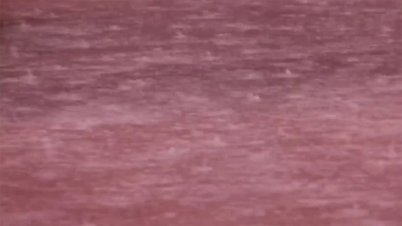 Acque di sangue e i simboli dell’Apocalisse: le piogge (parte 2) Acque di sangue e i simboli dell’Apocalisse: le piogge (parte 2)