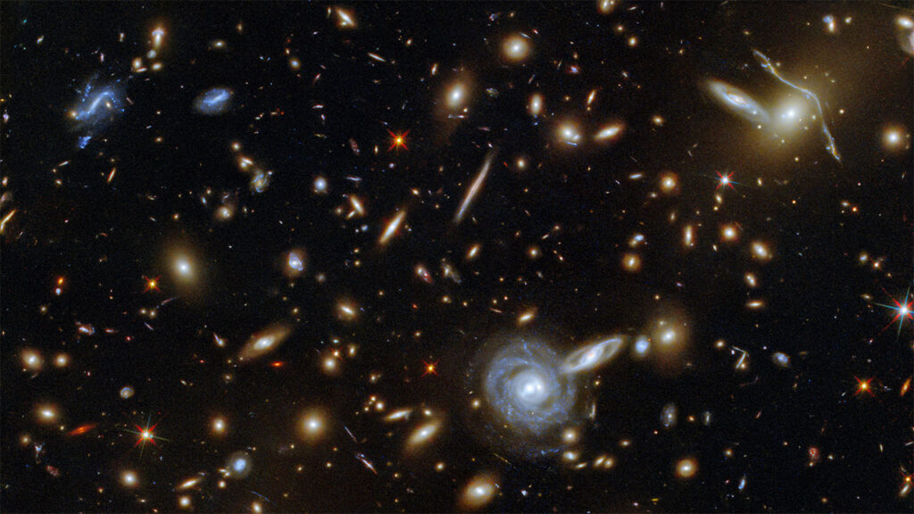 L’infinita meraviglia