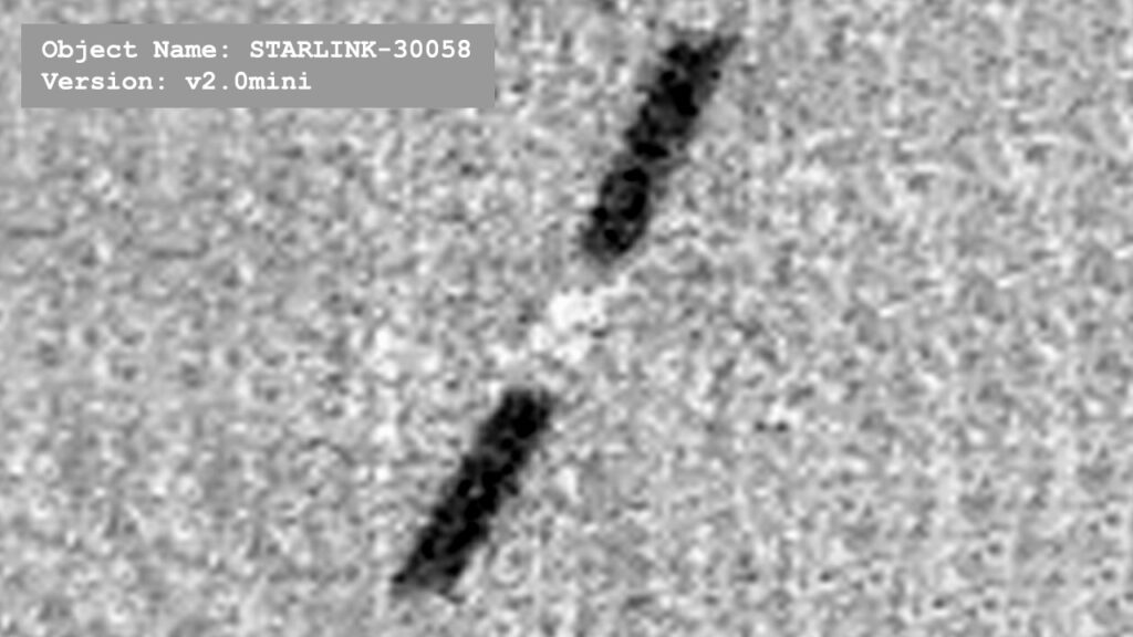 Una follia che prende il nome “Starlink”
