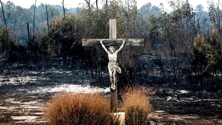 Adoniesis spiega: Il Cristo e le forze della natura Adoniesis spiega: Il Cristo e le forze della natura