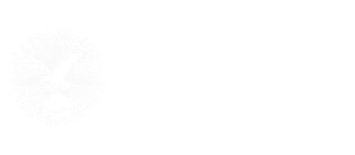 DAL CIELO ALLA TERRA - APS